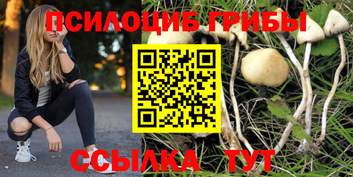 Галлюциногенные грибы мицелий  Вход с VPN  Галлюциногенные грибы прущие грибы  Рославль 
